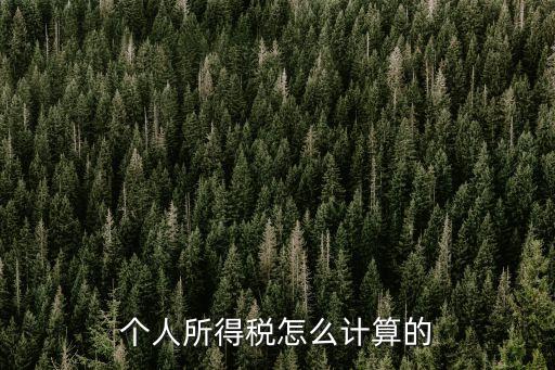 個(gè)人所得稅怎么計(jì)算的