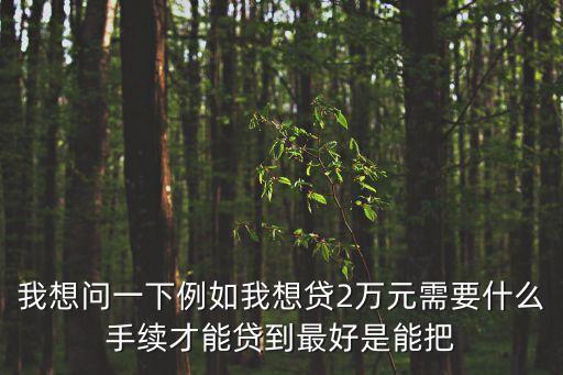 我想問一下例如我想貸2萬元需要什么手續(xù)才能貸到最好是能把