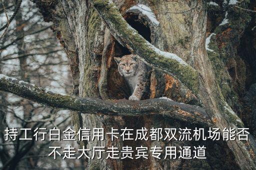 工行機(jī)場(chǎng)貴賓室怎么進(jìn)，工商銀行在那些機(jī)場(chǎng)有貴賓室