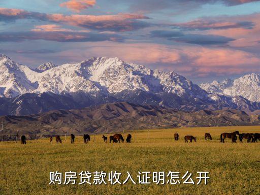 購房貸款收入證明怎么開