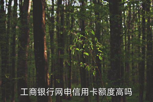 網(wǎng)申的額度怎么樣，網(wǎng)上申請(qǐng)信用卡額度一般有多少