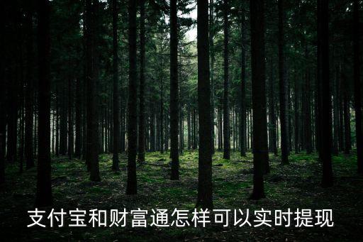 怎么申請實時提現(xiàn)，支付寶和財富通怎樣可以實時提現(xiàn)