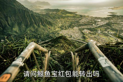 請問鯨魚寶紅包能轉(zhuǎn)出嗎