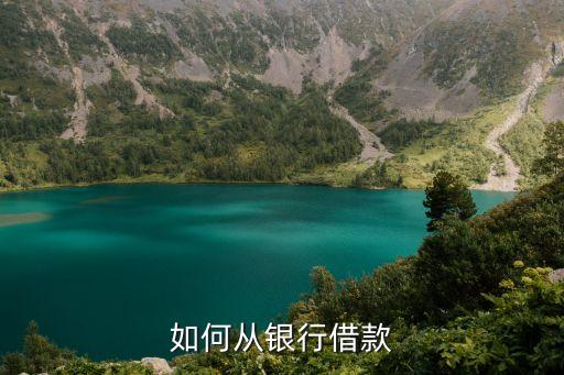 銀行借款怎么借，去銀行怎么借錢(qián)