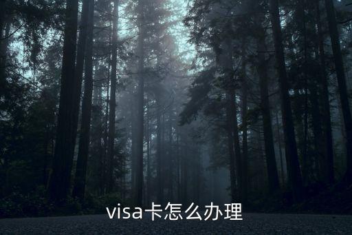 visa和萬事達(dá)怎么辦，怎么辦理VISA和MASTERCARD啊