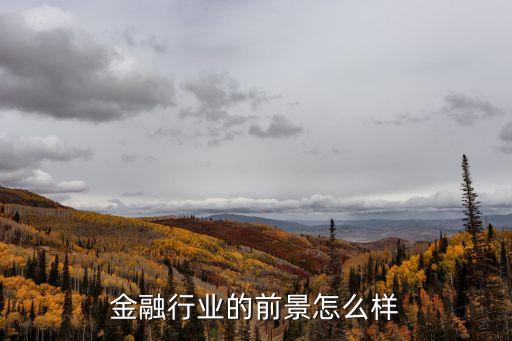 金融行業(yè)的前景怎么樣