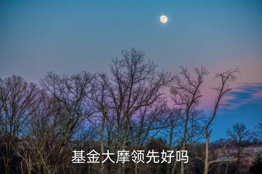 基金大摩領(lǐng)先好嗎