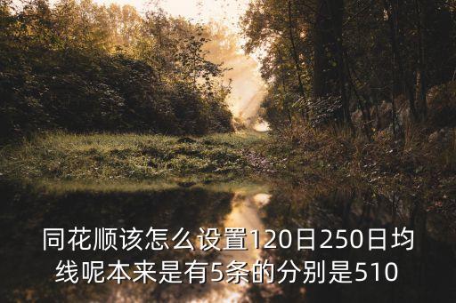 同花順該怎么設(shè)置120日250日均線呢本來是有5條的分別是510