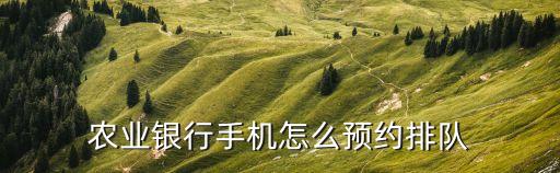 農(nóng)業(yè)銀行手機(jī)怎么預(yù)約排隊