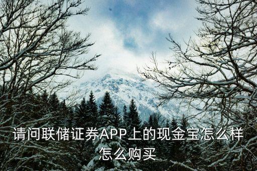 請(qǐng)問(wèn)聯(lián)儲(chǔ)證券APP上的現(xiàn)金寶怎么樣怎么購(gòu)買