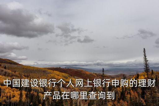 中國建設(shè)銀行個人網(wǎng)上銀行申購的理財產(chǎn)品在哪里查詢到