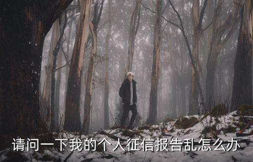請問一下我的個人征信報告亂怎么辦