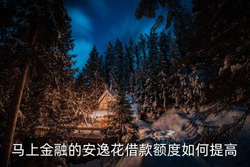 馬上金融的安逸花借款額度如何提高