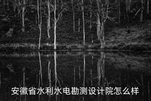 安徽省水利水電勘測設(shè)計院怎么樣