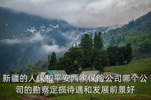 平安新疆分公司怎么樣，中國平安新疆分公司的車物查勘員待遇怎么樣