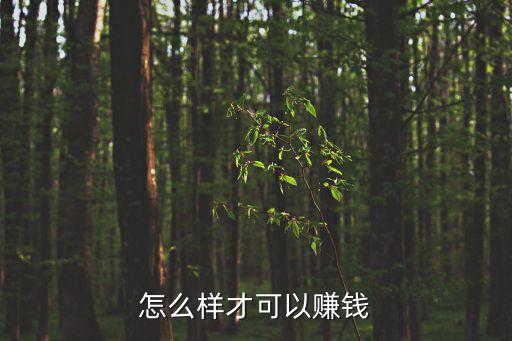 要怎么樣才能賺到錢，怎樣才能賺到錢