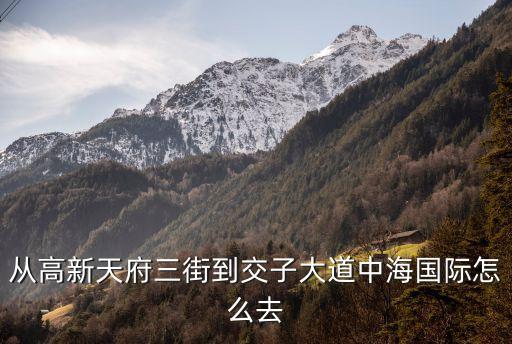 從高新天府三街到交子大道中海國(guó)際怎么去