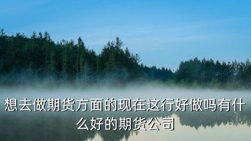 想去做期貨方面的現(xiàn)在這行好做嗎有什么好的期貨公司