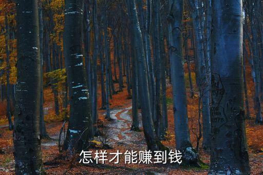 怎樣才能賺到錢(qián)