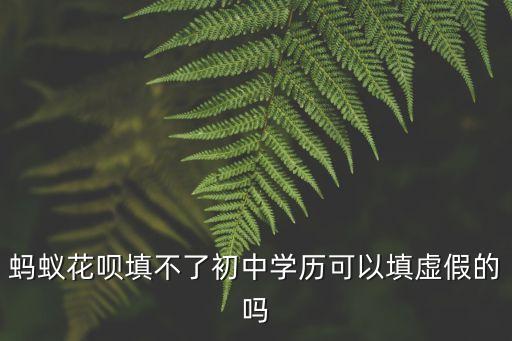 螞蟻花唄填不了初中學(xué)歷可以填虛假的嗎