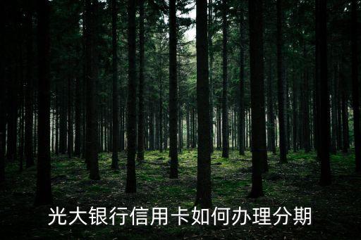 光大賬單分期申請(qǐng)?jiān)趺刺顚?xiě)，光大信用卡分期還款怎么辦理