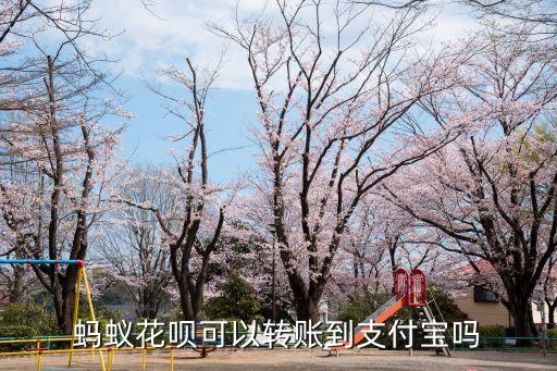 怎么用花唄套現(xiàn)，拿去花怎么取現(xiàn)使用