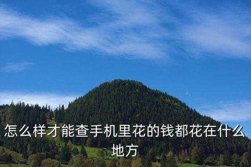 手機(jī)明細(xì)賬單怎么查詢，查詢手機(jī)消費(fèi)記錄