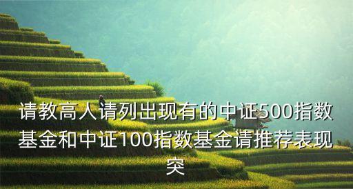 請教高人請列出現(xiàn)有的中證500指數(shù)基金和中證100指數(shù)基金請推薦表現(xiàn)突
