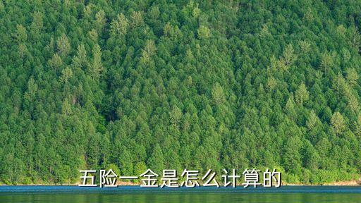 五險一金是怎么計算的