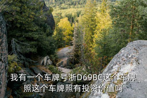 我有一個車牌號浙D69BC這個車牌照這個車牌照有投資價值嗎