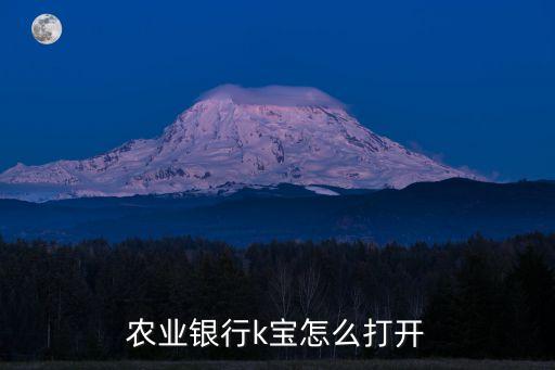 農(nóng)業(yè)銀行k寶怎么打開