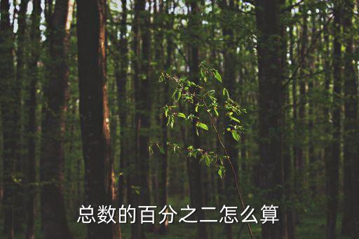 總數(shù)的百分之二怎么算