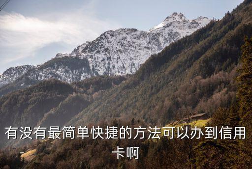 有沒有最簡單快捷的方法可以辦到信用卡啊