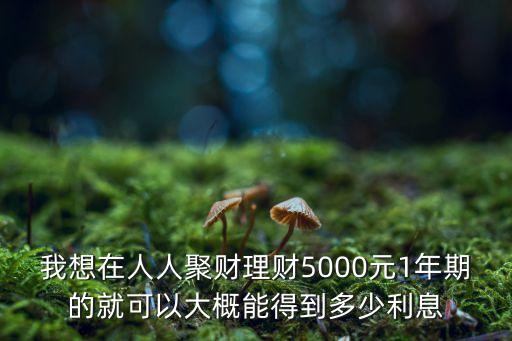 我想在人人聚財(cái)理財(cái)5000元1年期的就可以大概能得到多少利息