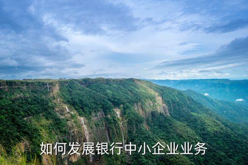 如何發(fā)展銀行中小企業(yè)業(yè)務(wù)