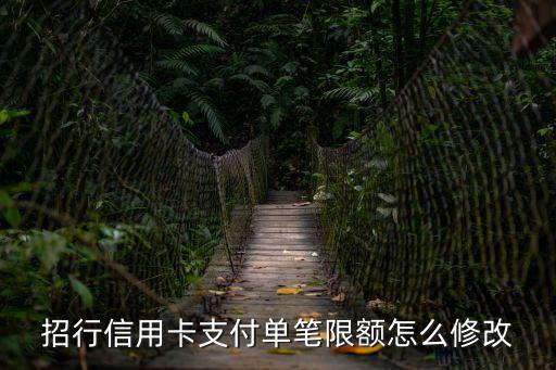 招行信用卡支付單筆限額怎么修改