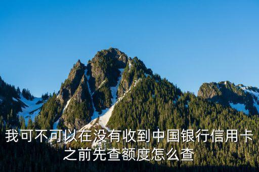 信用卡還沒(méi)收到怎么查額度，信用卡還沒(méi)收到怎么查額度