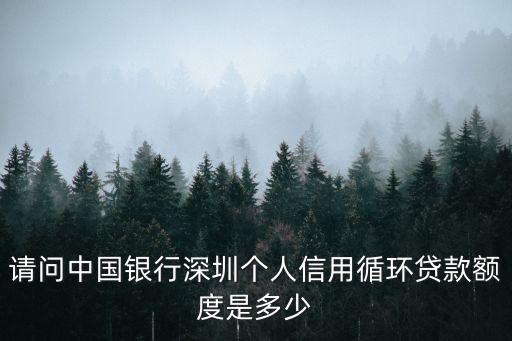 深圳信用貸款怎么貸款額度，深圳怎么申請信用貸款