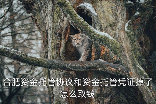 資金托管后怎么拿錢(qián)，顯示資金托管已全額到賬是不是就可以取錢(qián)了
