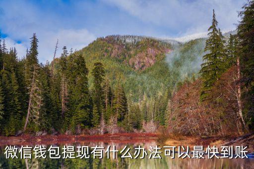 微信錢(qián)包提現(xiàn)有什么辦法可以最快到賬