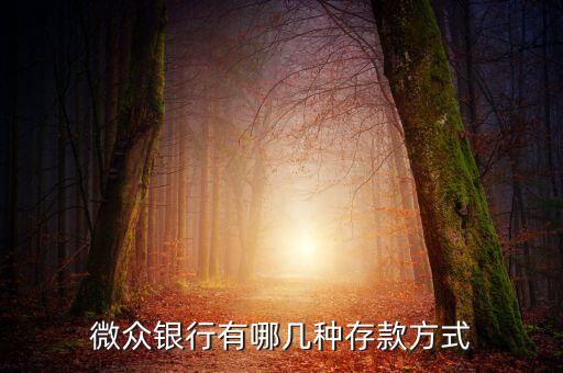微眾銀行有哪幾種存款方式