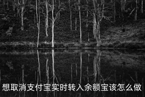 想取消支付寶實(shí)時(shí)轉(zhuǎn)入余額寶該怎么做