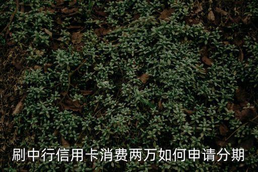 刷中行信用卡消費兩萬如何申請分期