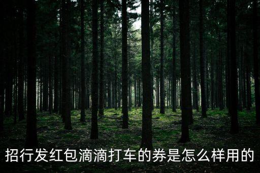 招行發(fā)紅包滴滴打車的券是怎么樣用的
