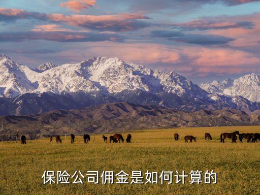 保險公司傭金是如何計算的