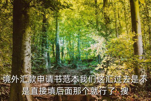 境外匯款申請(qǐng)書(shū)范本我們這匯過(guò)去是不是直接填后面那個(gè)就行了  搜