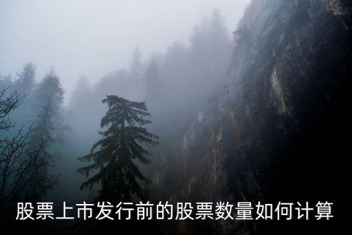 股票 發(fā)行量 怎么算，股票發(fā)行股數(shù)怎么求啊有沒有什么公式啊
