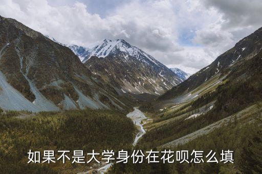 花唄學(xué)校怎么填寫(xiě)不上，如果不是大學(xué)身份在花唄怎么填