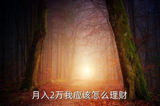 月入2萬我應(yīng)該怎么理財