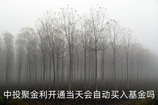 中投聚金利開通當(dāng)天會自動買入基金嗎